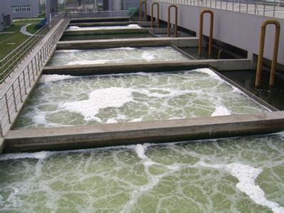 �V�؉|�����Z��ʯ